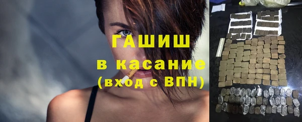ECSTASY Бородино