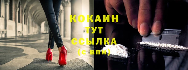ECSTASY Бородино