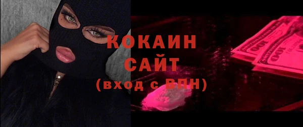 шишки Тында