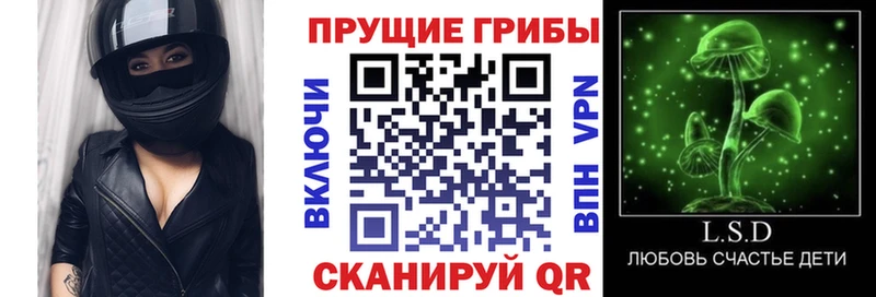 что такое наркотик  Сковородино  Галлюциногенные грибы Cubensis 
